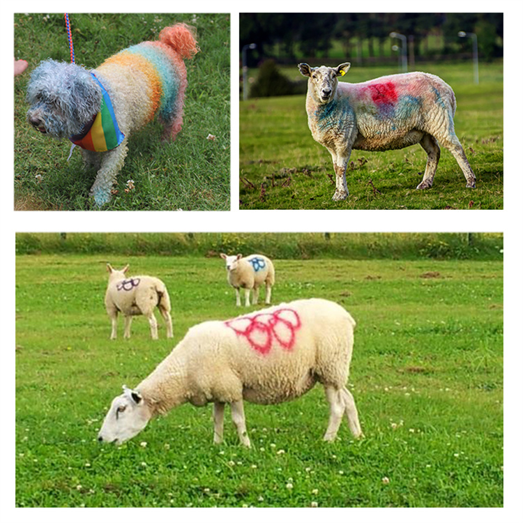 Aeropak Red Sheep Marking Spray Paint
